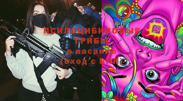 гидропоника Лабытнанги