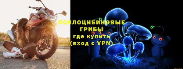 твердый Ладушкин