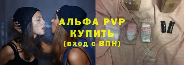 твердый Ладушкин
