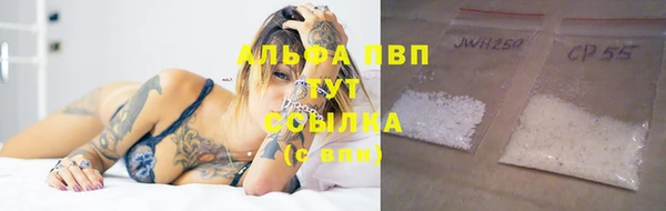 твердый Ладушкин