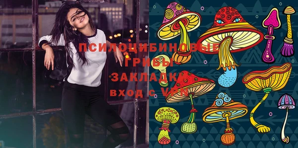твердый Ладушкин