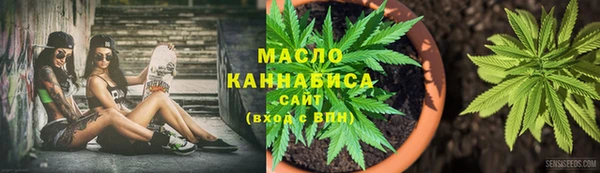 твердый Ладушкин